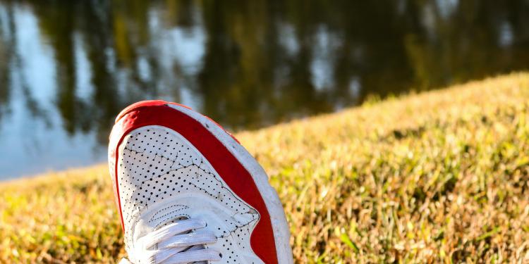 The Beginner’s Guide to Keep up With the Fashion Trends